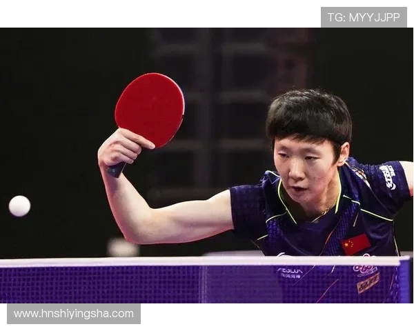 全国锦标赛回顾：上海乒乓球队展现卓越团队协作精神与实力