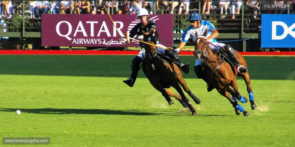 🏆冠军同款，周边好物助你闪耀赛场！